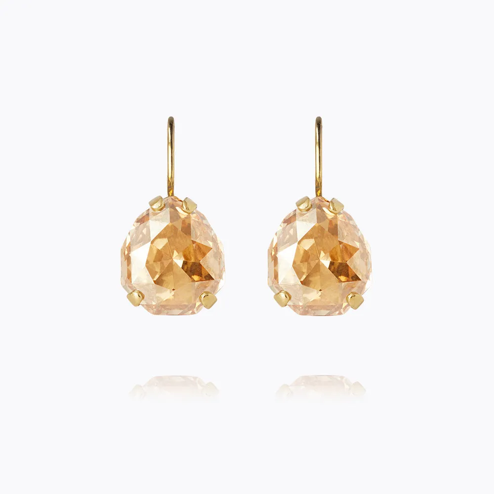 Carlotta Clasp Earrings / Golden Shadow