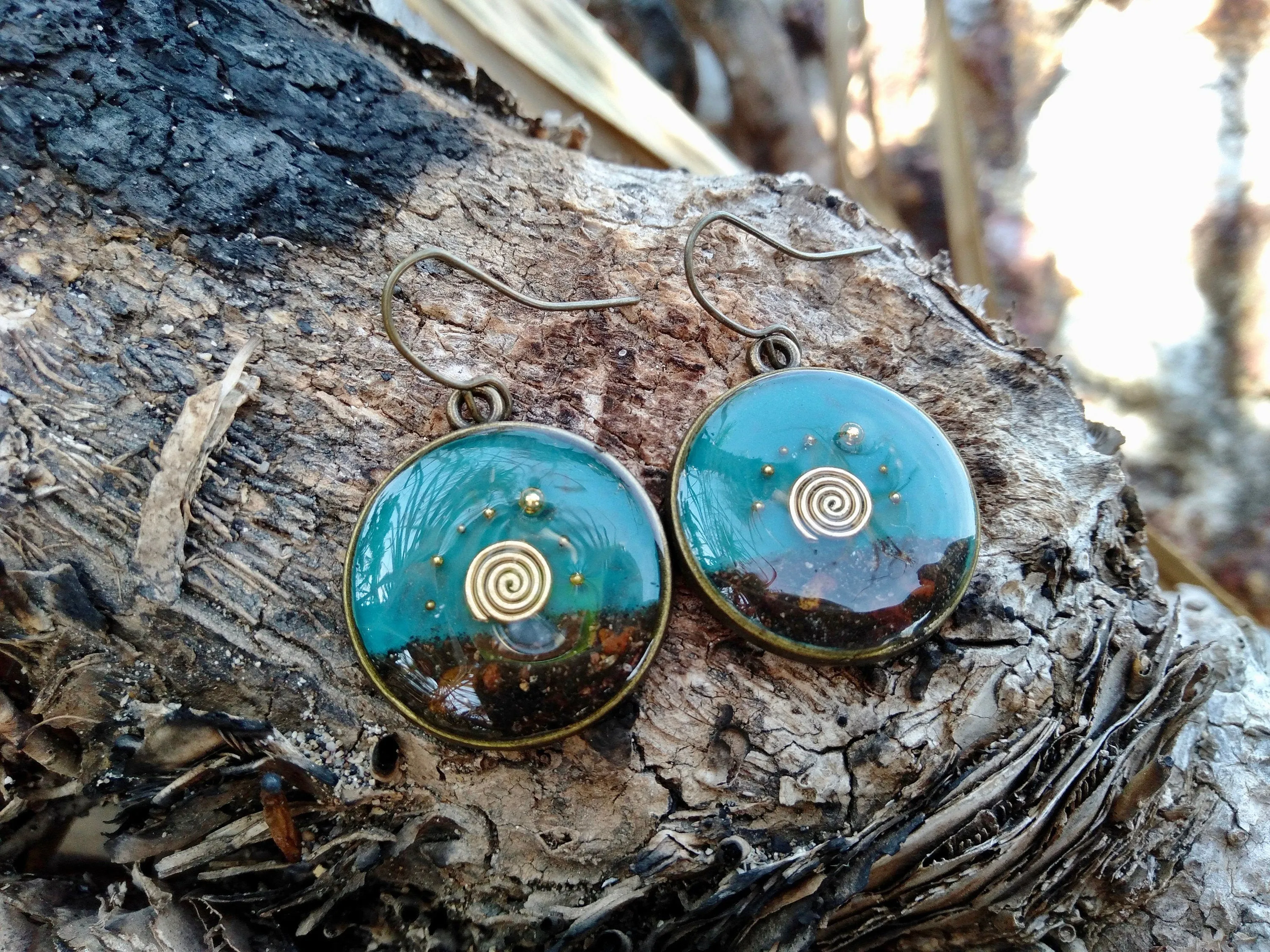 Darwin bush sunrise earrings