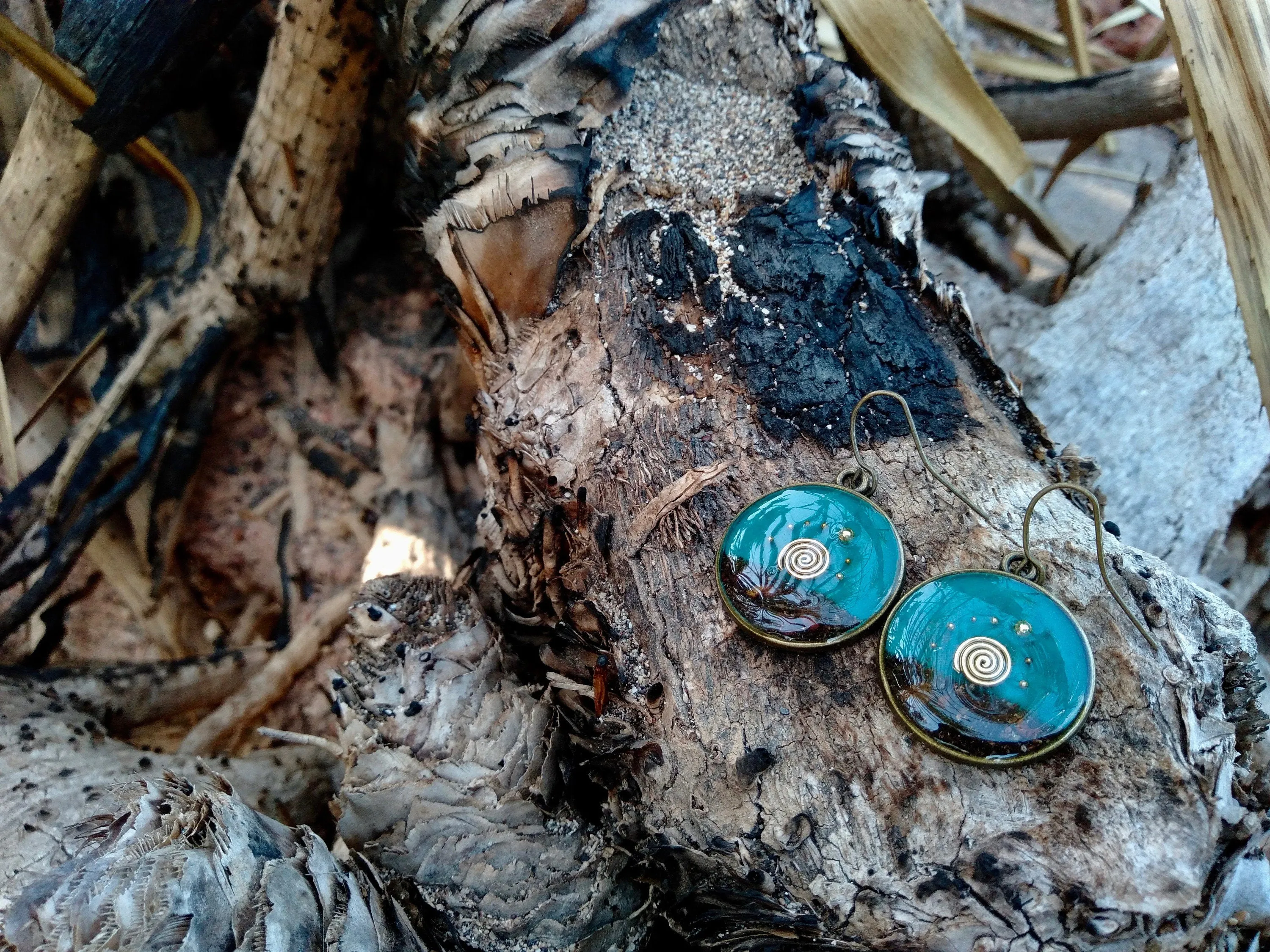 Darwin bush sunrise earrings