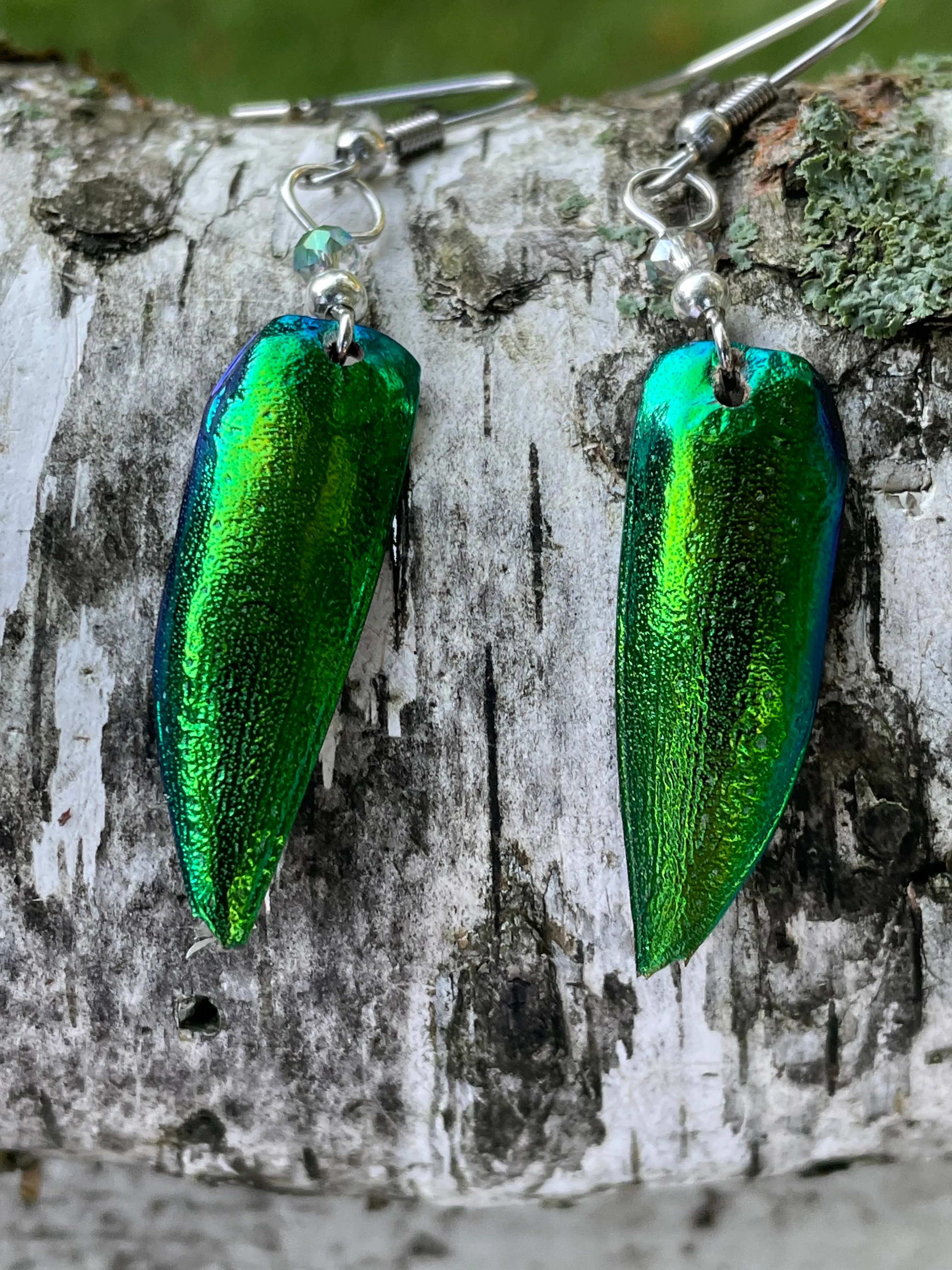 Jewel Beetle Earrings